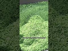 Dust Free Tofu Cat Litter Sand