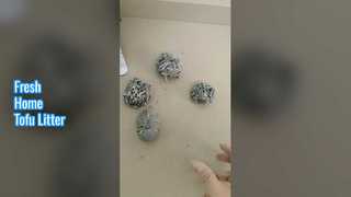 Tofu Cat Litter Odor Control & Fast Clumping